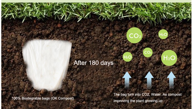 Compostable garbage bags turn into CO2 and water